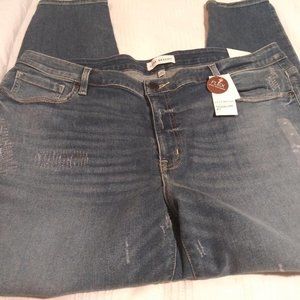 Lane Bryant Plus 22 Jeans Signature Fit Skinny NWT